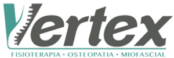 logo vertex