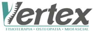 logo vertex